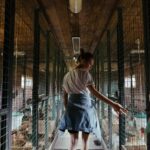 How to work in Saskatchewan farms with visa A young woman tends to chickens inside a rustic farm coop, showcasing rural life.